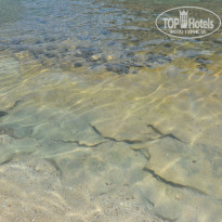 фото из отзыва ID 762774