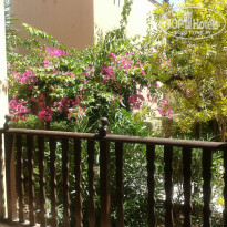 фото из отзыва ID 762924