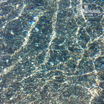 фото из отзыва ID 762024