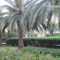 фото из отзыва ID 762897