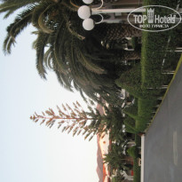 фото из отзыва ID 762897