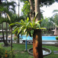 фото из отзыва ID 762099