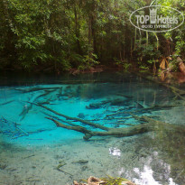 фото из отзыва ID 763228