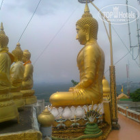 фото из отзыва ID 763228