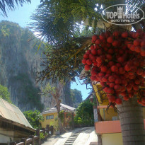 фото из отзыва ID 763228