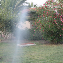 фото из отзыва ID 763750