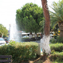 фото из отзыва ID 763750