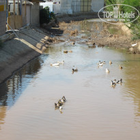 фото из отзыва ID 763547