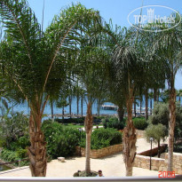 фото из отзыва ID 76337