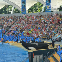 фото из отзыва ID 763739