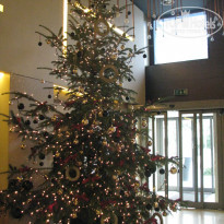 фото из отзыва ID 764104