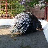 фото из отзыва ID 764138