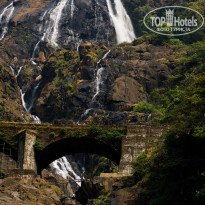 фото из отзыва ID 764138