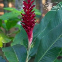 фото из отзыва ID 764138