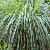 фото из отзыва ID 764138