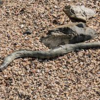 фото из отзыва ID 764138