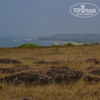 фото из отзыва ID 764138