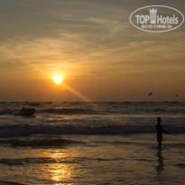 фото из отзыва ID 764138