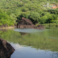 фото из отзыва ID 764138