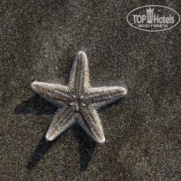 фото из отзыва ID 764138