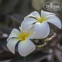 фото из отзыва ID 764138