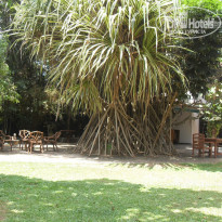 фото из отзыва ID 764158