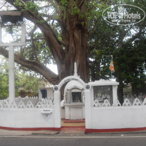 фото из отзыва ID 764158