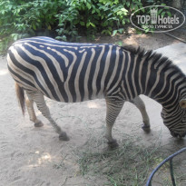 фото из отзыва ID 764158