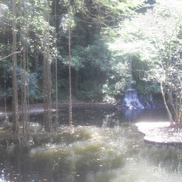 фото из отзыва ID 764158