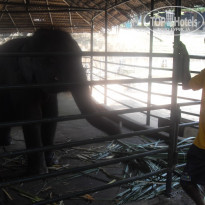 фото из отзыва ID 764158