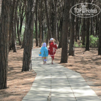 фото из отзыва ID 764267