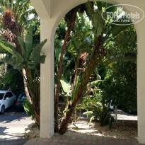 фото из отзыва ID 764682