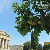 фото из отзыва ID 764744