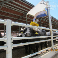 фото из отзыва ID 764744