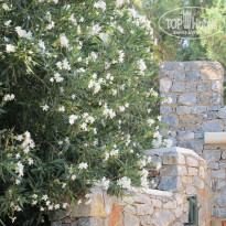 фото из отзыва ID 764863