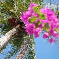 фото из отзыва ID 764921