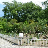 фото из отзыва ID 764384