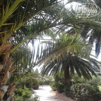 фото из отзыва ID 765065