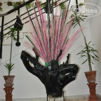 фото из отзыва ID 765145