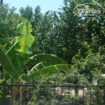 фото из отзыва ID 765186