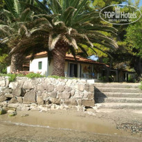 фото из отзыва ID 765186