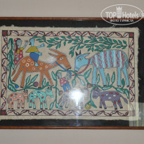 фото из отзыва ID 765229