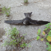 фото из отзыва ID 765418