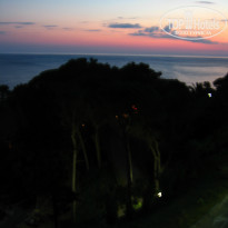 фото из отзыва ID 765437