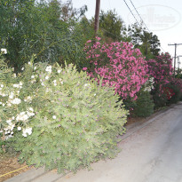 фото из отзыва ID 765648