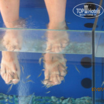 фото из отзыва ID 765682