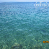 фото из отзыва ID 765847