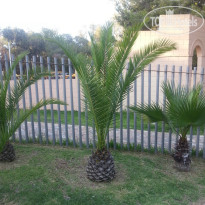 фото из отзыва ID 765881