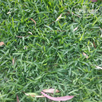 фото из отзыва ID 765881