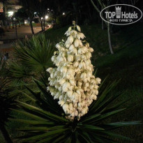 фото из отзыва ID 765881